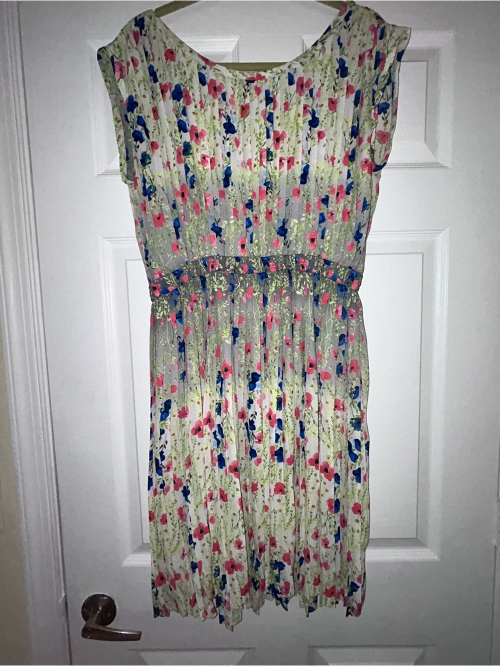 Baraschi Anthropologie Meadowlight Floral Print Pleated Sleeveless Dress